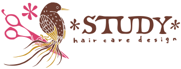 STUDY hair care design